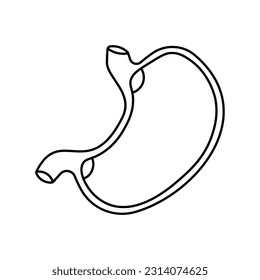 Stomach, anatomy flat line icon. Human stomach