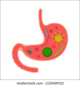 stomach with bacteria and viruses. flat vector illustration isolated on white background