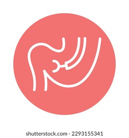 Stomach biopsy color line icon. Isolated vector element. Outline pictogram for web page, mobile app, promo