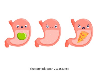 Stomach character. Healthy and proper nutrition. Stomach pain. Cartoon internal organs. Diet, fruits, vegetables, fast food. Stock vector illustration isolated on white background.