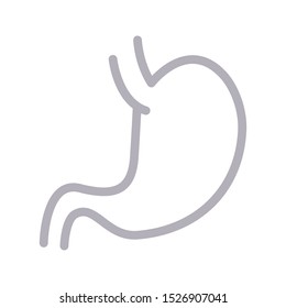 stomach colour line vector icon