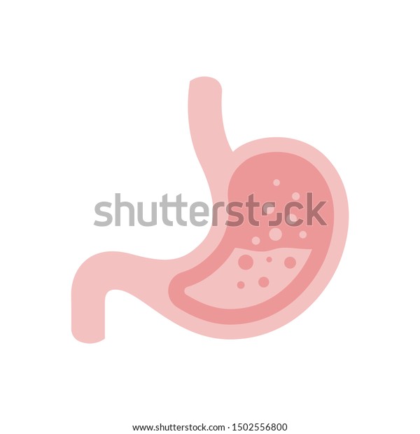 胃と消化系のベクター画像イラスト のベクター画像素材 ロイヤリティ