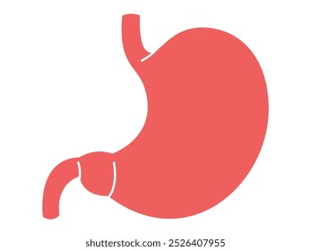 Stomach digestive human organ colored version anatomy science biology learning education design