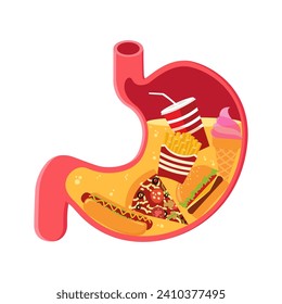 Stomach filled full by fast food cartoon vector illustration