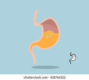 stomach flat design vector illustration