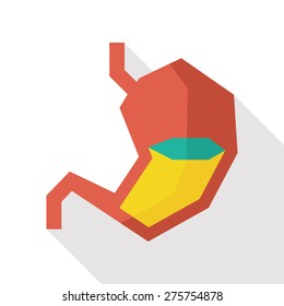 stomach flat icon with long shadow