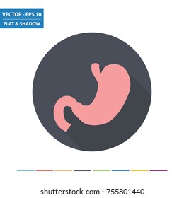 Stomach flat icon with long shadow. Vector Illustration.