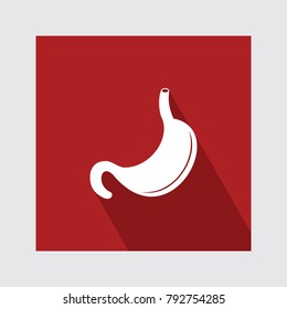 Stomach flat icon with long shadow