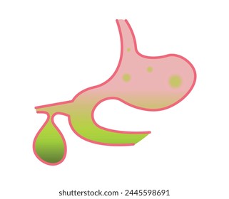Stomach in flat style. Process in the gallbladder. Poor nutrition, fast food abuse, obesity. Gastritis, heartburn, stomach ulcer. EPS10