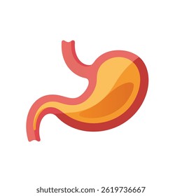 Stomach flat vector illustration on white background