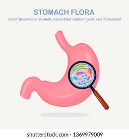 Stomach flora. Digestive system, tract with bacteria, virus, microorganisms, probiotics isolated on white background. Internal human organs. Medical, biology concept. Vector flat design