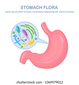 Stomach flora. Digestive system, tract with bacteria, virus, microorganisms, probiotics isolated on white background. Internal human organs. Medical, biology concept. Vector flat design