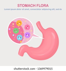 Stomach flora. Digestive system, tract with cute good bacteria, virus, microorganisms, probiotics isolated on white background. Internal human organs. Medical, biology concept. Vector flat design