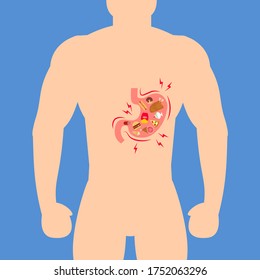 stomach full of unhealthy fast food male anatomy vector illustration