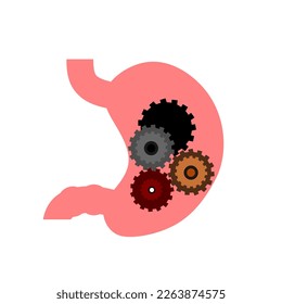 stomach. gastric disease. stomach ache. digestive process. gastric bacteria. gerd