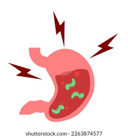 stomach. gastric disease. stomach ache. digestive process. gastric bacteria. gerd
