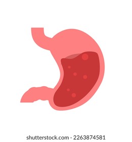 stomach. gastric disease. stomach ache. digestive process. gastric bacteria. gerd