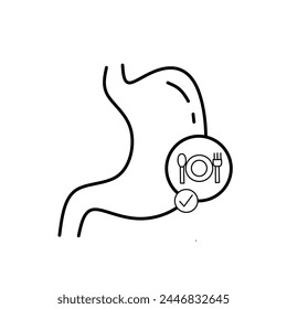 Stomach with Healthy Food vector line icon
