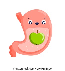 Stomach. Healthy stomach and proper nutrition. Cartoon internal organs. Diet, fruits, vegetables. Stock vector illustration isolated on white background.