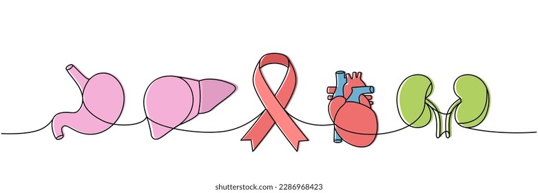 Stomach, heart, liver, kidneys one line colored continuous drawing. Cancer awareness ribbon, AIDS ribbon continuous one line colorful illustration.