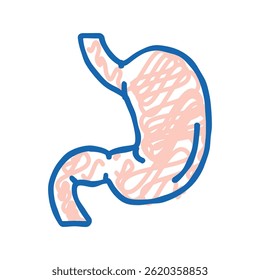 estômago humano órgão doodle ícone esboço vetor. estômago sinal de órgão humano. símbolo isolado ilustração