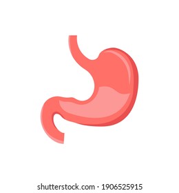 Stomach Icon Of Color Style Design Vector Template