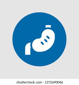  Stomach icon. Editable  Stomach icon for web or mobile.