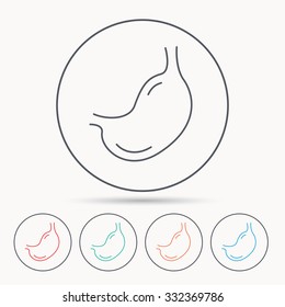 Stomach icon. Gastroscopy health sign. Anatomical body organ symbol. Linear circle icons.