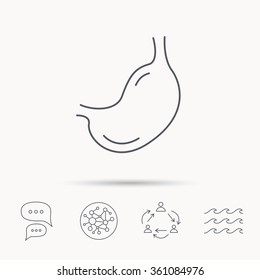 Stomach icon. Gastroscopy health sign. Anatomical body organ symbol. Global connect network, ocean wave and chat dialog icons. Teamwork symbol.