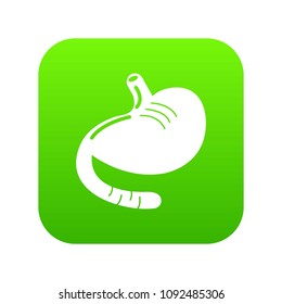 Stomach icon green vector isolated on white background