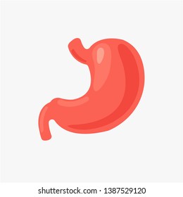 Stomach icon, Human Anatomy Vector Illustration.