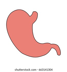 stomach icon human internal organ digestive system anatomy symbol