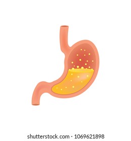 Magensymbol. Symbol für innere menschliche Organe. einzeln auf weißem Hintergrund. Vektorillustration. EPS10.