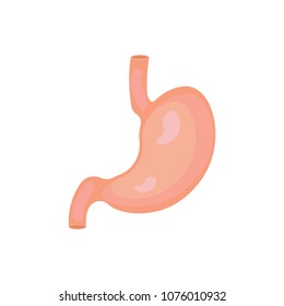 Stomach icon. Human internal organs symbol. isolated on white background. Vector illustration. Eps 10.