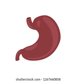 Stomach icon. Human internal organs symbol. Digestive system anatomy. Vector illustration in flat style isolated on white background