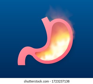 Stomach icon. Human internal organs symbol. Vector stock illustration.