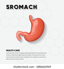 Stomach icon. Human internal organs symbol. Health care