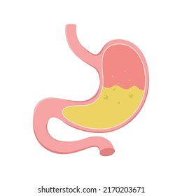 Stomach icon. Human internal organs symbol. Digestive system anatomy. Vector illustration on white background