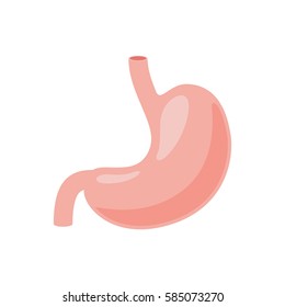 Stomach icon. Human internal organs symbol. Digestive system anatomy. Vector illustration in flat style isolated on white background