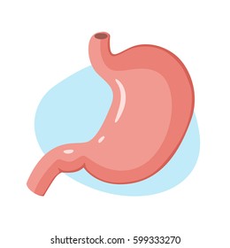 Stomach icon. Human internal organs. Vector illustration