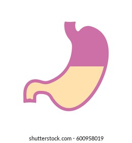 Stomach icon. Human internal organs. Digestion. Digestive tract, system Flat style