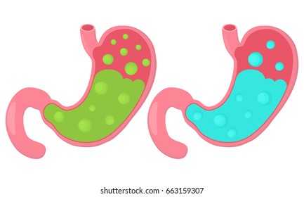 Stomach icon. Human internal organs. Digestion. Digestive tract, system. Healthcare.