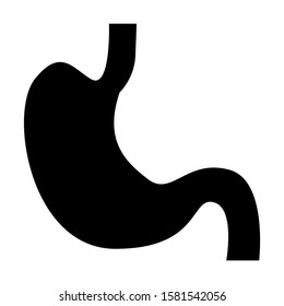 stomach icon isolated sign symbol vector illustration - high quality black style vector icons
