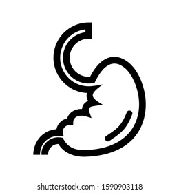 stomach icon isolated sign symbol vector illustration - high quality black style vector icons
