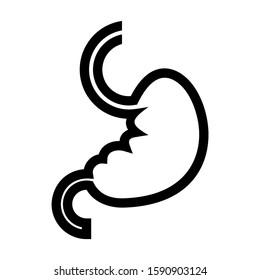 stomach icon isolated sign symbol vector illustration - high quality black style vector icons
