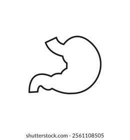 Stomach icon Outline vector line symbol