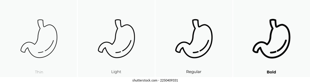 stomach icon. Thin, Light Regular And Bold style design isolated on white background
