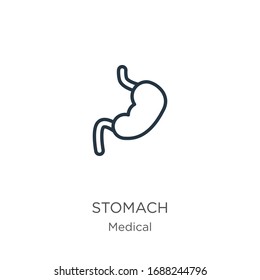 Stomach icon. Thin linear stomach outline icon isolated on white background from medical collection. Line vector sign, symbol for web and mobile