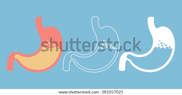 Stomach icon in three\
different style