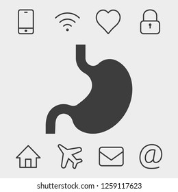 stomach icon vector